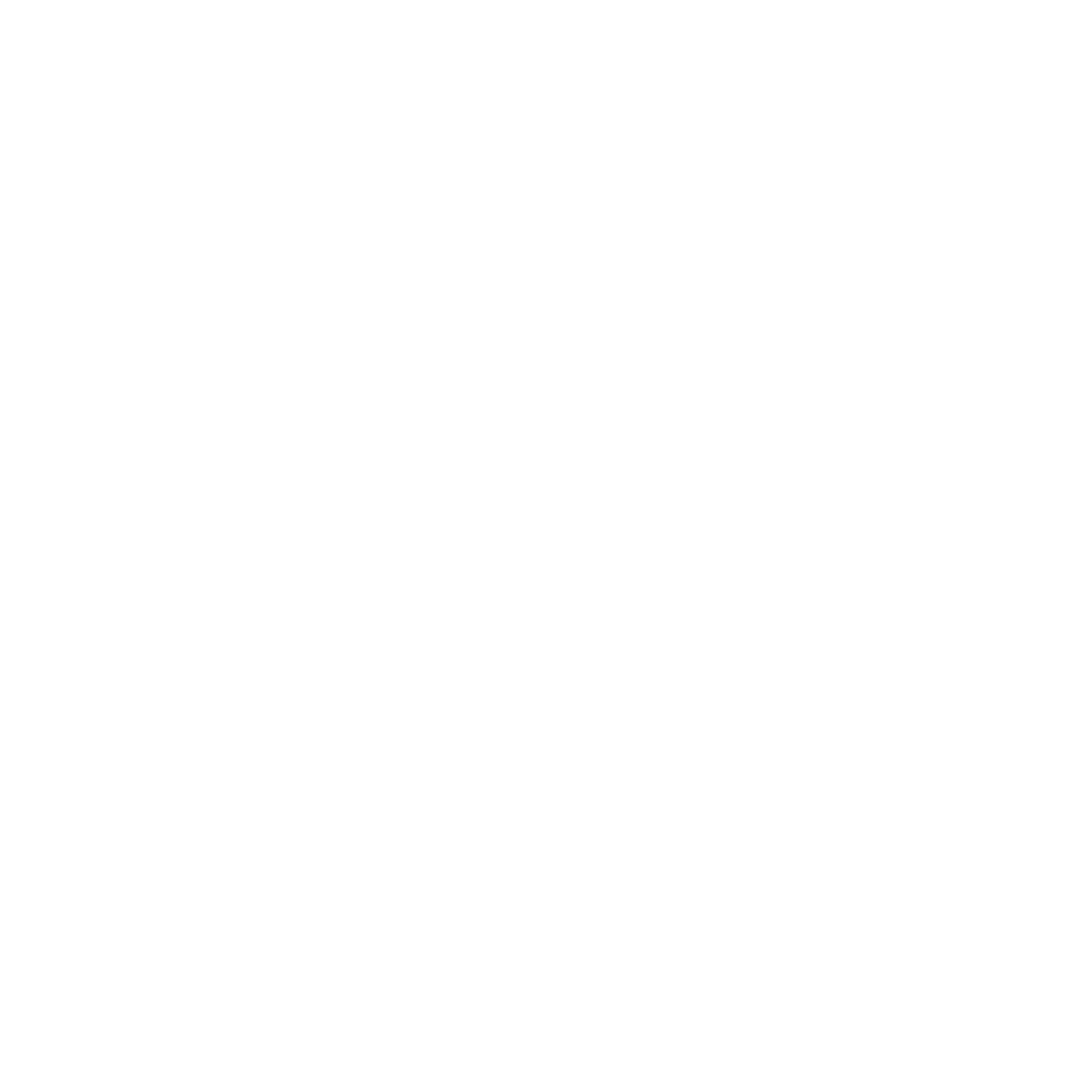 FisioFulness Logo